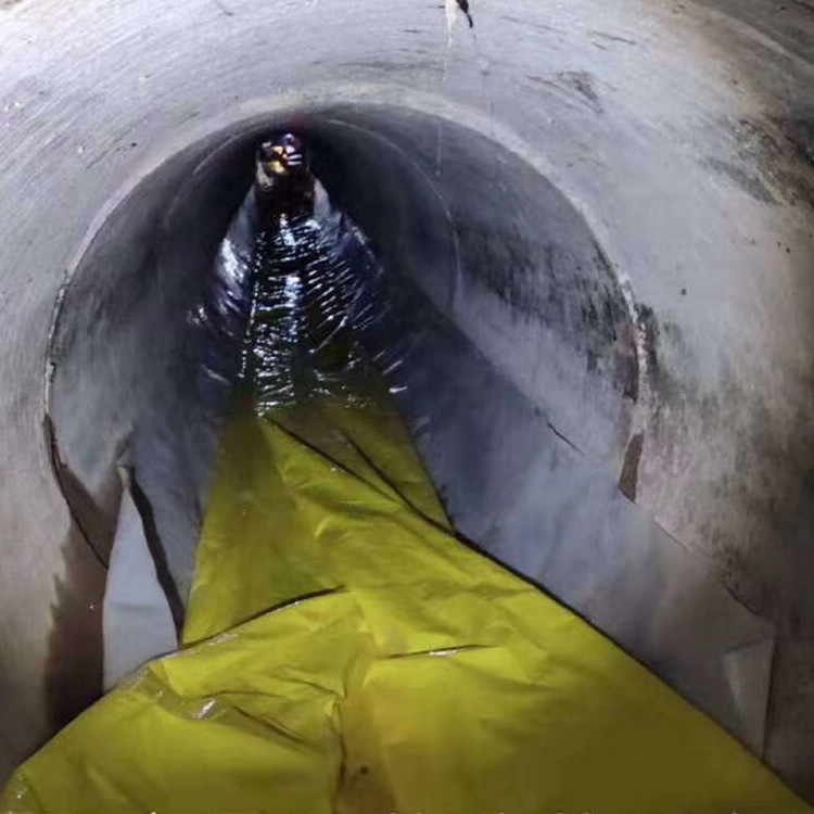 丽水管道光固化修复